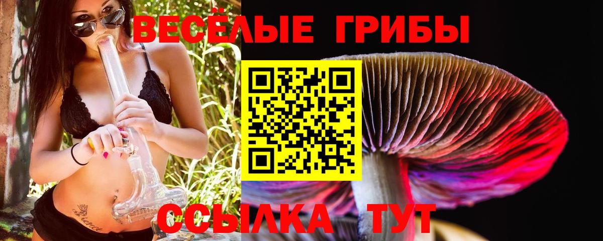 Галлюциногенные грибы Magic Shrooms  Вход с VPN  как найти закладки  Псков  Псилоцибиновые грибы MAGIC MUSHROOMS 